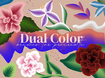 Dual Color Brushes for Procreate