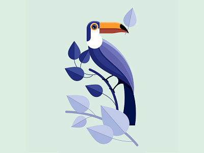 Toucan bird flat illustration nature toucan vector