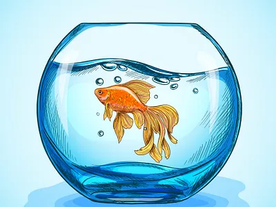 Goldfish colorful fish fishbowl goldfish hand drawn sketch vector vector art vector illustration vectorart