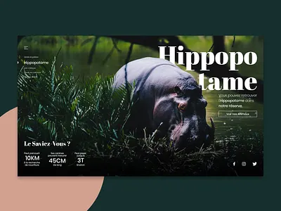 WebDesign - Hippopotamus animal design hippopotamus home ui ux website zoo