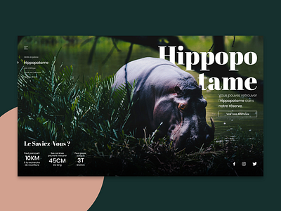 WebDesign - Hippopotamus animal design hippopotamus home ui ux website zoo