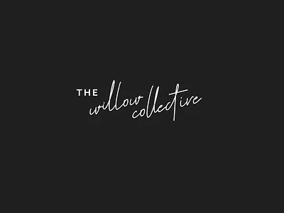 Willow Collective Script Logo branding collective hand written logo design logo design branding logo designs minimal minimalist natural scribble script script font script lettering type art typographic typography typography design willow