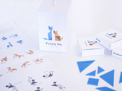 Puzzle Me Branding design illustration typography uiux