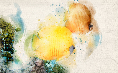 Larry tropical fishes illustration ilustracion tropical watercolor