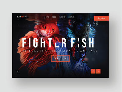 Betta Fish Website Landing page fishwebsite landingpagedesign modernwebsite ui uidesign uiux webdesigns websitedesigner