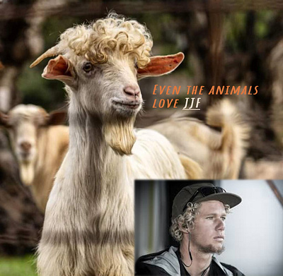 surfing icon and his spirit animal animals goat photoshop