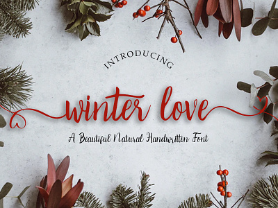 Winter Love Handwritten Font christmas display font handlettering handmade handwritten handwritten font ligatures love newyear script signature font typography winter