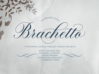 Brachetto - a multilingual calligraphy script font calligraphy calligraphy font cyrillic script elegant font ligatures open type script font swashes type design wedding wine