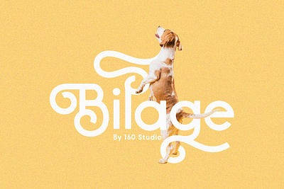 Bilage Font best fonts branding decorative font design display font download font elegant font font font design fonts graphic design graphics logo design logo font logo fonts logodesign logotype type design typefaces vintage font