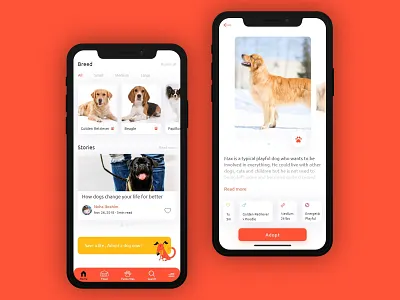 Dogs Adoption adoption dog dogs pet pets petshop ui ui ux ui design uidesign uiux