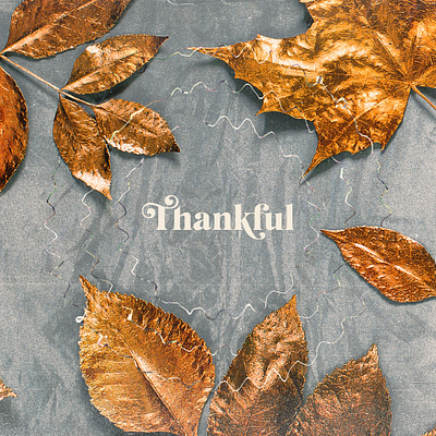 Thankful adobe illustrator adobe photoshop church church design concept art concept design design graphicdesign texture thanksgiving typography