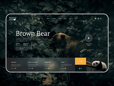 Daily UI #9 National Park Website animal animals bear best design challenge daily ui national park site ui ui design user interface ux ux design web web design website wildlife zoo