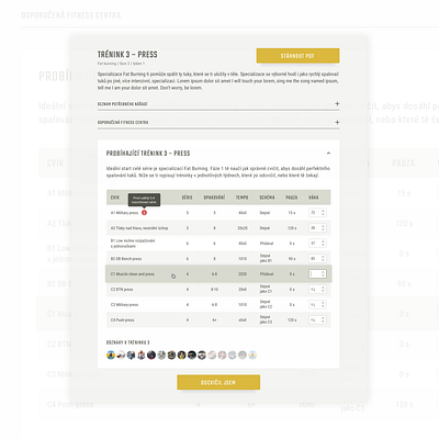 Rise by performance | Portfolio branding czech design illustration minimal ui uiux ux web website