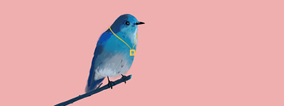 twitter for events - blog post header blog editorial illustration illustration web