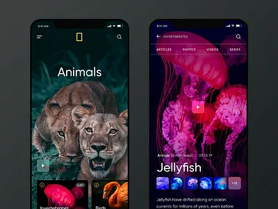 Ui Application About Animals android android app animal app design application inspiration interface ios ios app iosdev ui uidesign ux uxdeisgn webdesign