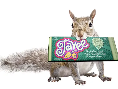 Tavee Bar and Squirrel 2