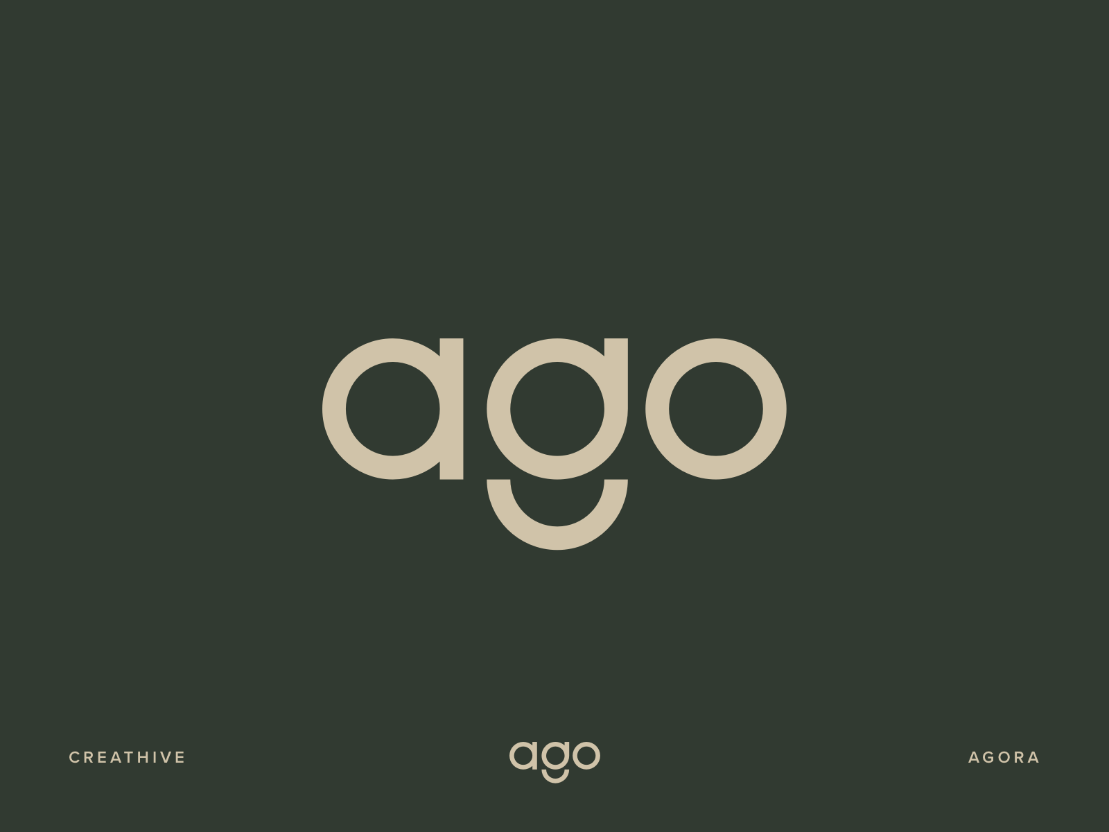 Example of Agora Youth Symphony Orchestra