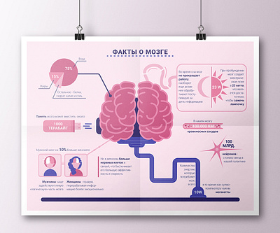 Infographic about brains adobe illustrator brains design facts flat icon illustration illustrator infographic logo medicine minimal neurology vector