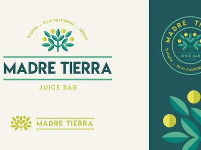 Juice Bar Logo graphic design illustration logo logo design