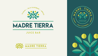 Juice Bar Logo graphic design illustration logo logo design