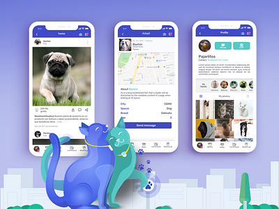 Petaholics Social Network app colors ios pets redesign rediseño social network ui ui design user interface ux ux mexico