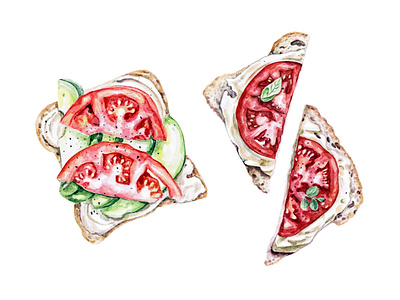 Sandwich design draw food food and drink illustration red sandwich tomato tomatoes watercolor watercolor art