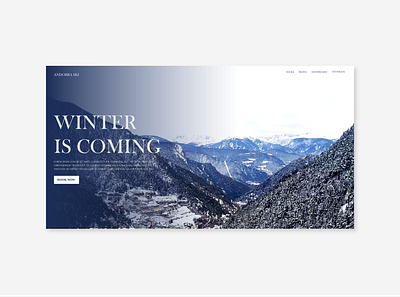 Winter skiing website adobe illustrator adobe xd skiing website snow snowboarding website snowsports ui ux