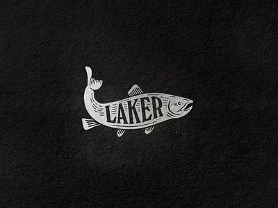 Laker Fish alberta coffee edmonton fish fishing laker saskatchewan texture water