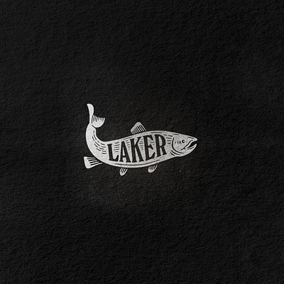 Laker Fish alberta coffee edmonton fish fishing laker saskatchewan texture water