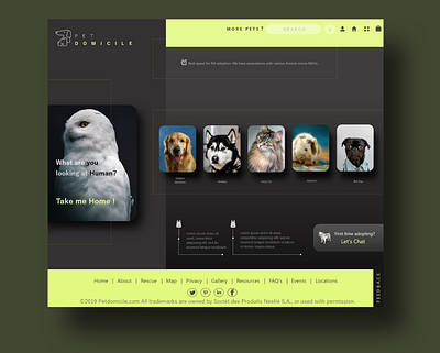 Animal Adoption website design branding design ui ui ux ux web website website design