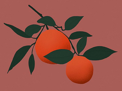 Citrus oranges procreate