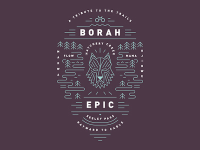 Borah Epic bike borah cycle epic mountain bike race trails wolf woods