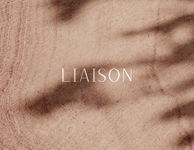 Liaison Logo brand design branding branding agency logo logo concept logo design