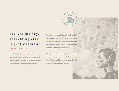 3birds Styleguide Excerpt brand design brand guidelines branding branding agency branding concept branding design meditation mission statement styleguide yoga