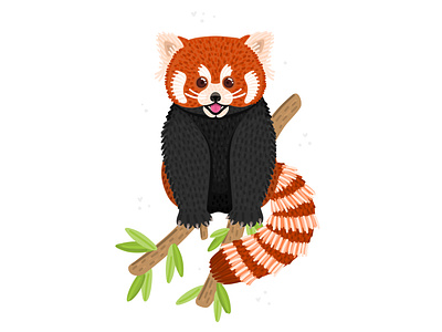 Red Panda adobe illustrator animal character cute design endangered species illustration panda red vector