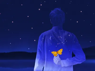 star butterfly book cover graphic design illustration metaphor star butterfly symbolism