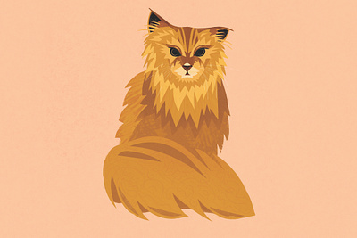 Norwegian Forest Cat brushes illustrator kitty orange photoshop