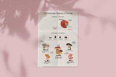 Mushrooms in Russia advice cooking design flat illustration infographic information mushroom nature illustration statistic vector