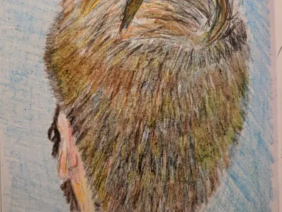 Reverse Portrait daily sketch illustration reverse portrait sketch