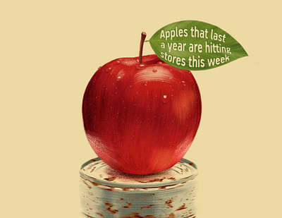 An apple a year apple artwork bio brush can conceptual drawing editorial editorial art fruit illustration iphone news organic photoshop plant realism recent rust weeklygraphicnews