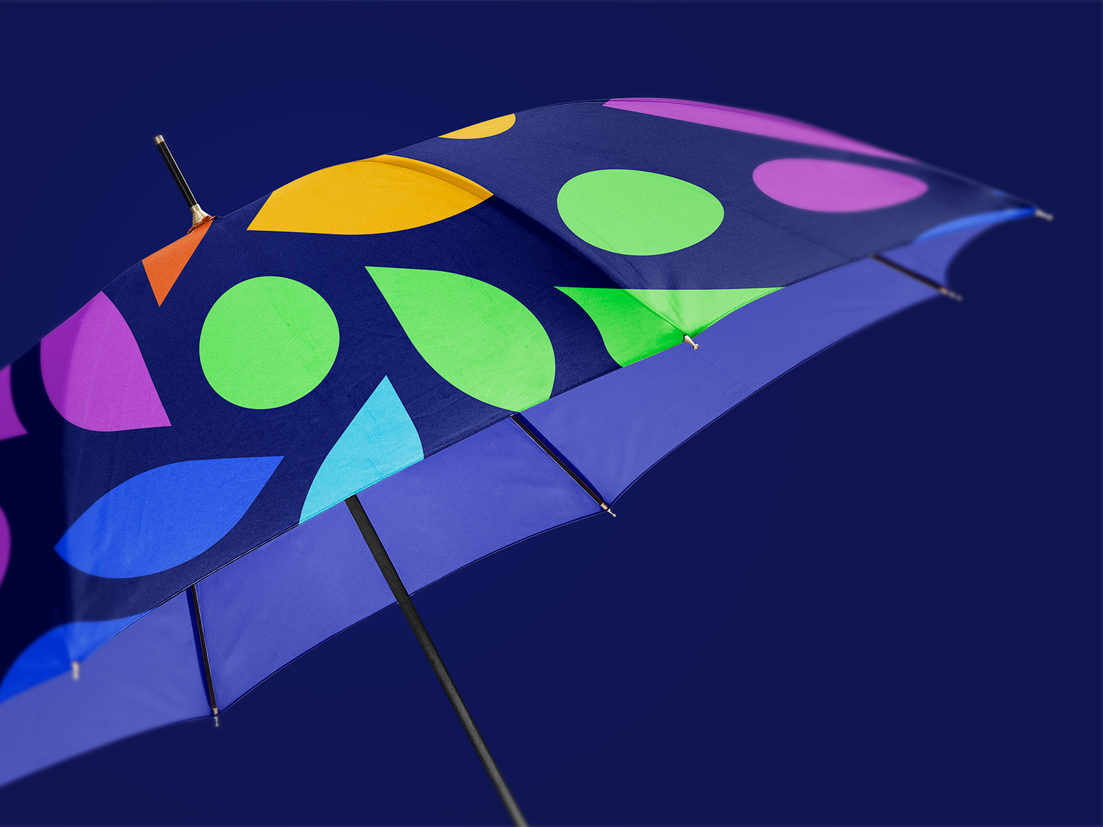 Example of Logo & Visual Identity Design Service