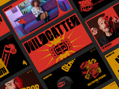Wildcatter Website bomb branding design desktop explosion illustration logotype production ui ui design website website design wildcat wildcatter