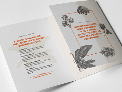 Mammoth MBPI Brochure Detail agriculture brochure layout cannabis branding cannabis brochure cannabis design layout organic product brochure product marketing