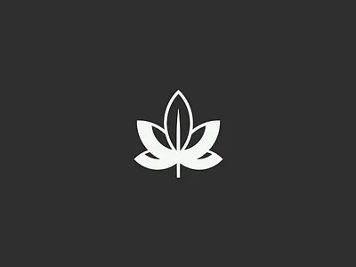 Plants, plants, plants brand identity cbd design logo logo concept logo design packaging
