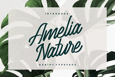 Amelia Nature - Script Typeface advertising art authentic branding branding concept clean display font font label lettering logotype packaging script script font