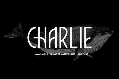 Charlie - Available In Alternative And Ligature artdeco authentic branding branding concept display font elegant font graphic design lettering ligature logo logotype minimalist sweet