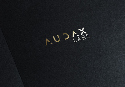 audax labs logo logodesign modern typeface virtualreality wordmark