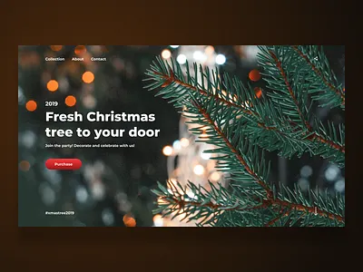 Merry Christmas! christmas christmas tree new year tree xmas