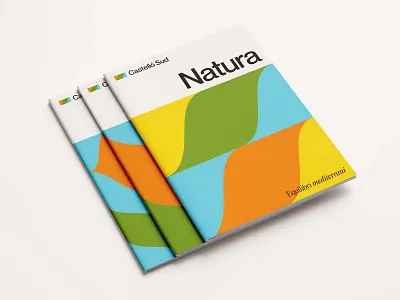 Magazine Mockups branding bundle cover design download identity logo magazine mockup mockups psd template typography