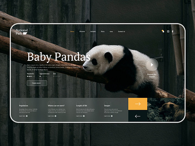 Daily UI #11 National Park Website animal animals best design challenge daily ui national park panda pandas site ui ui design user interface ux ux design web web design website wildlife zoo